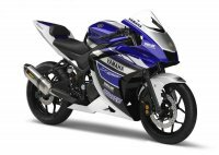 The all-new 2014 Yamaha YZF-R25 seen from the front right side. For more information regarding the Yamaha TZF-R25 you can take a look at [story:The-Yamaha-YZF-R25_Parallel-Twin-Engine The Yamaha YZF-R25 - Parallel Twin Engine]